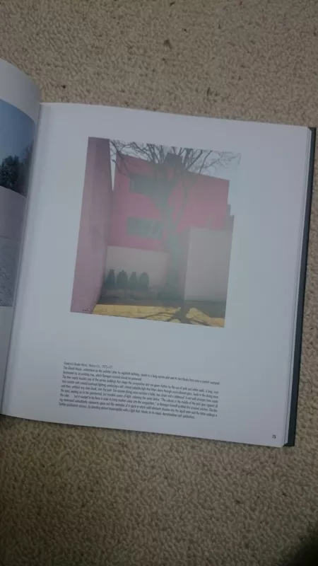 Minimalist architecture - Franco Bertoni, knyga