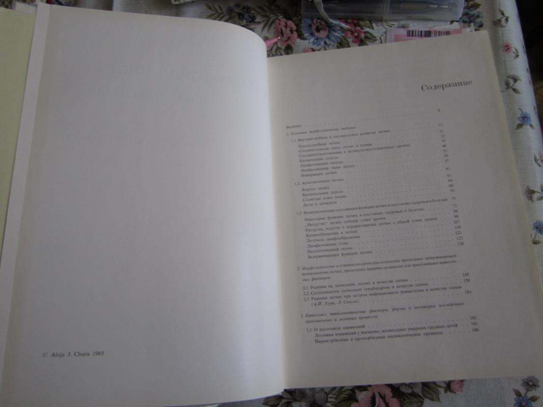 Pnevmologičeskije problemy - Alois Chura, knyga 4