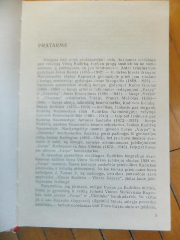 VINCAS KUDIRKA - Melvin Burgess, knyga 4