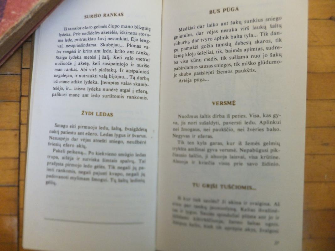 Beržų sulos rinkėjai - Vladas Dautartas, knyga 6