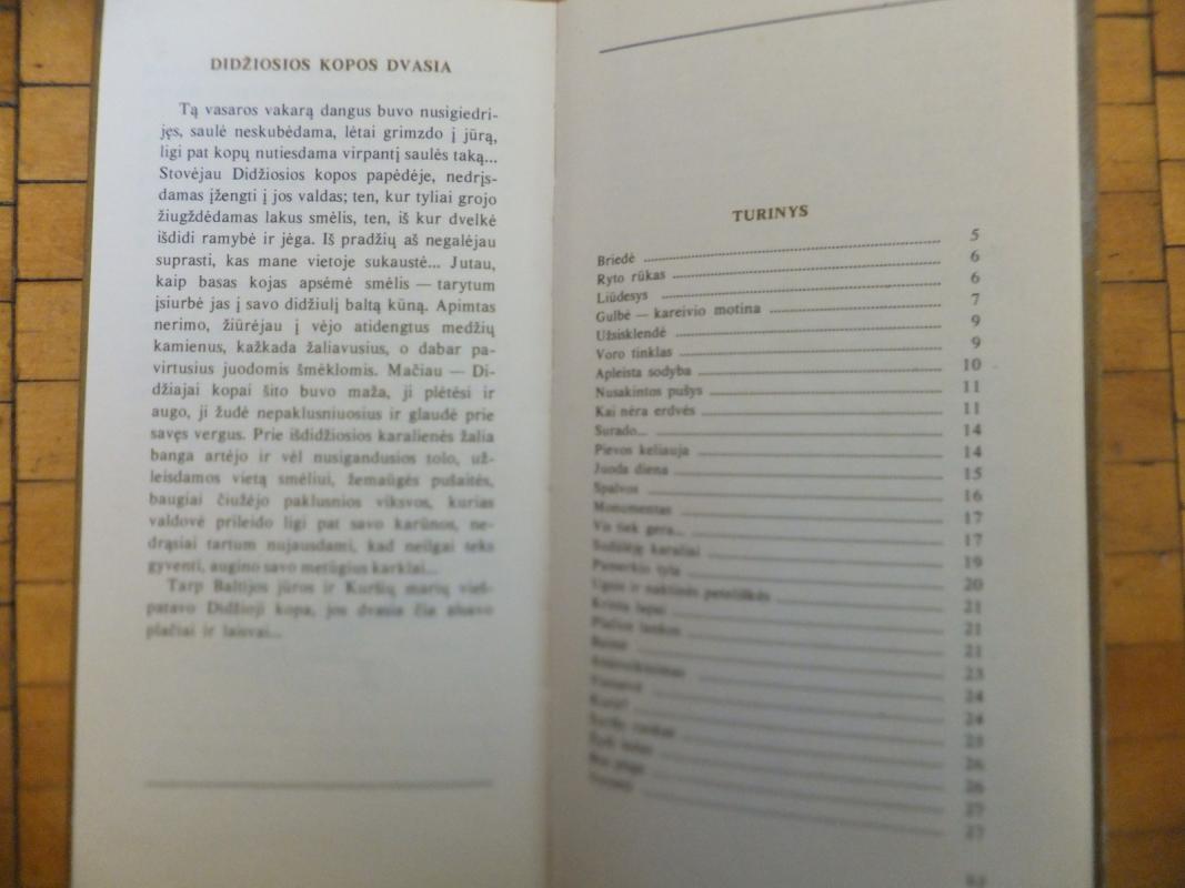 Beržų sulos rinkėjai - Vladas Dautartas, knyga 5