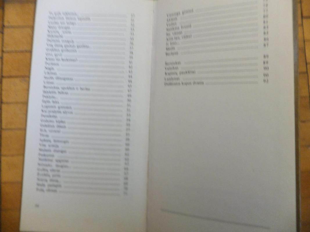 Beržų sulos rinkėjai - Vladas Dautartas, knyga 4