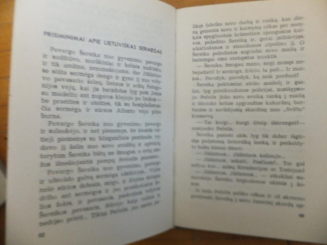 Atminimo cukrus - Saulius Šaltenis, knyga 5