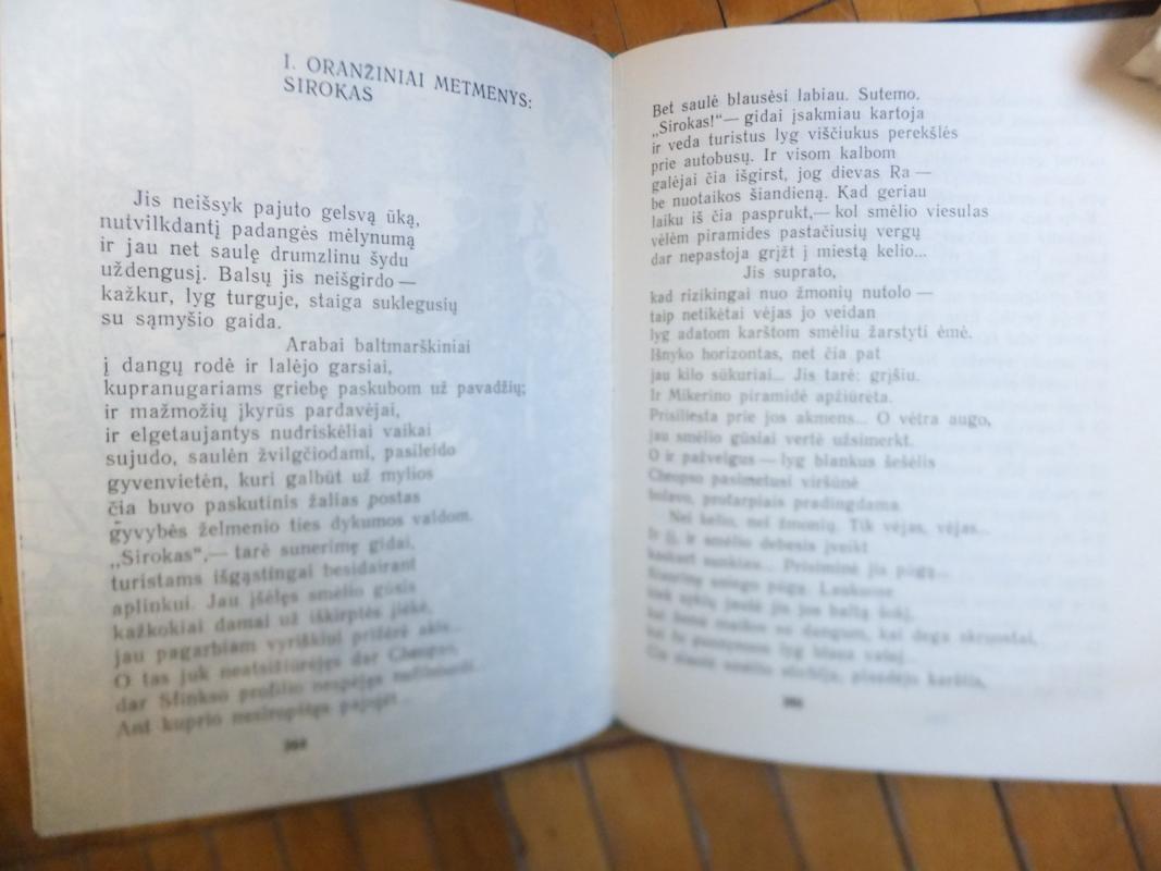 Žemė su puokšte gėlių - Vacys Reimeris, knyga 4