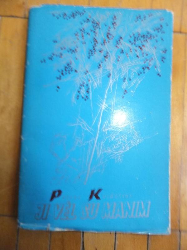 Ji vėl su manim - Petras Keidošius, knyga 2