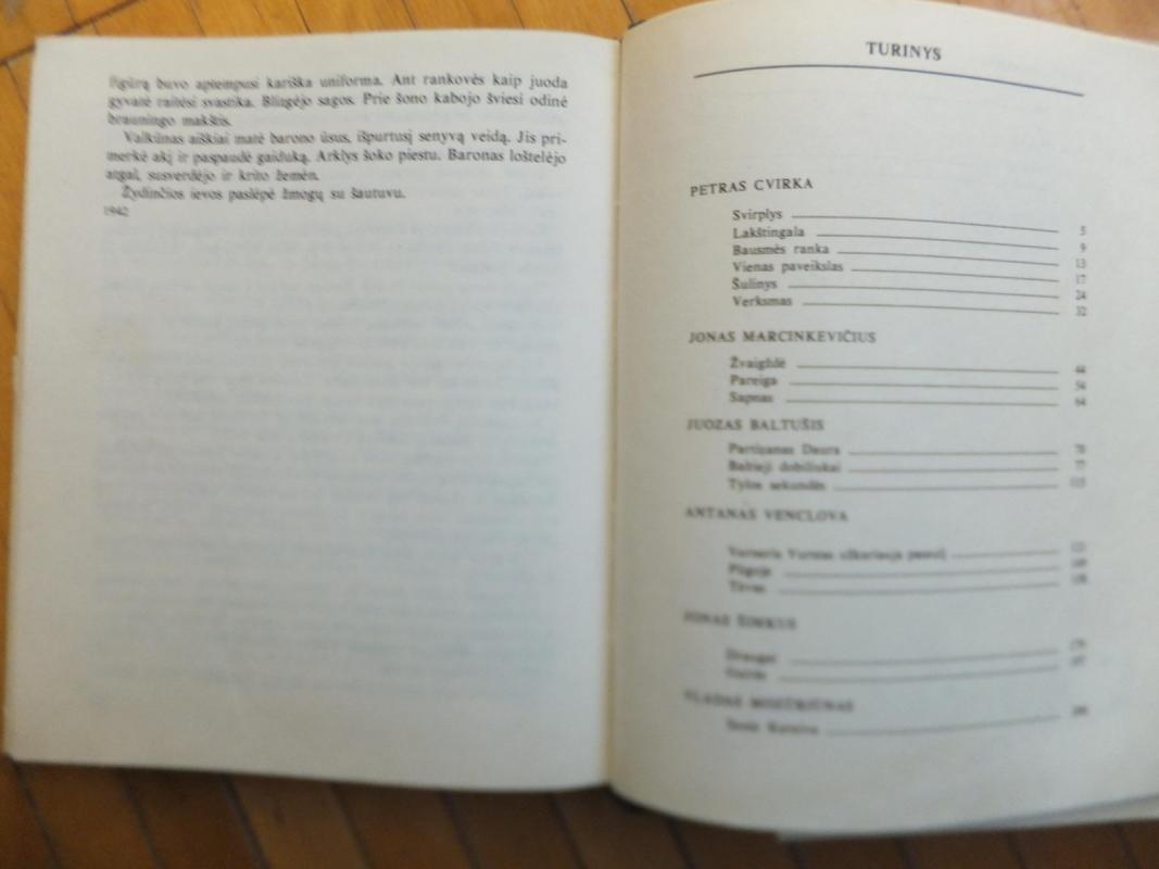 tylos sekundės - Autorių Kolektyvas, knyga 4