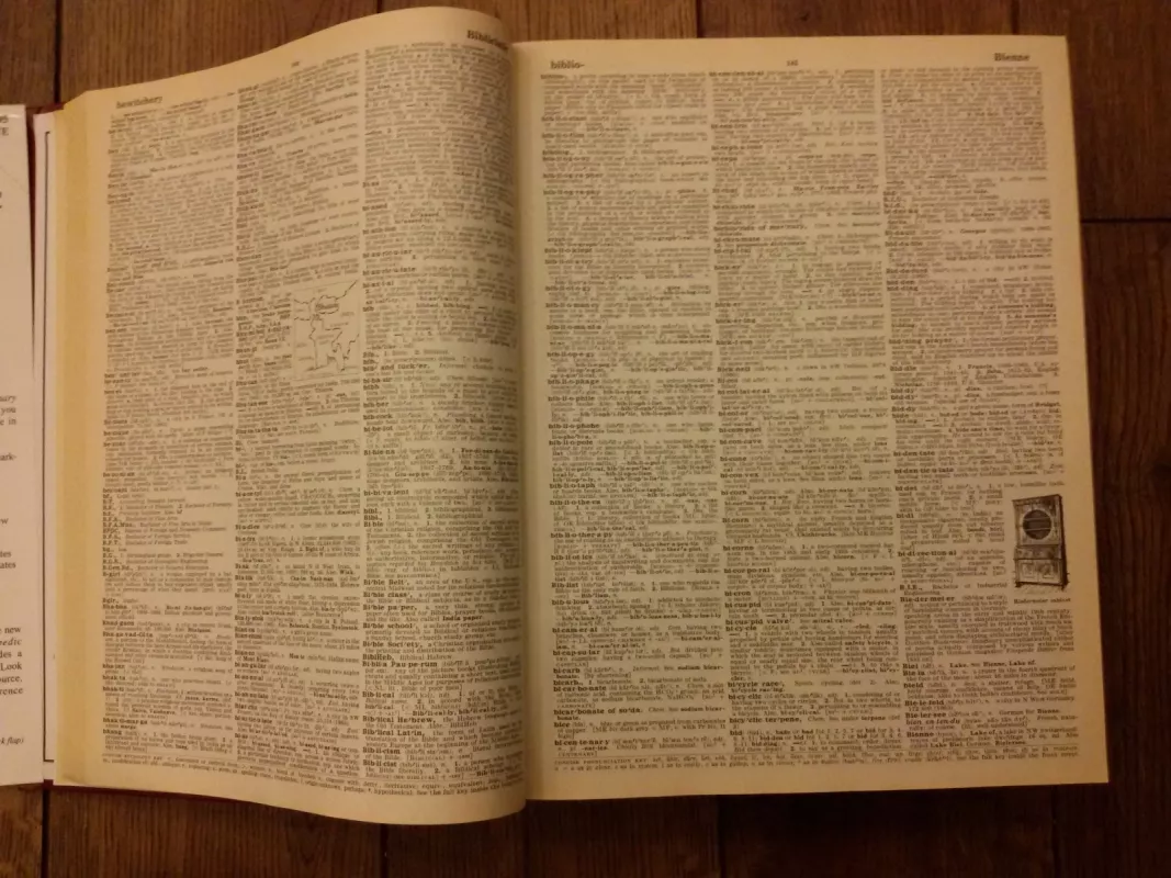 Webster's Encyclopedic Unabridged DIctionary of the English Language - Autorių Kolektyvas, knyga 2