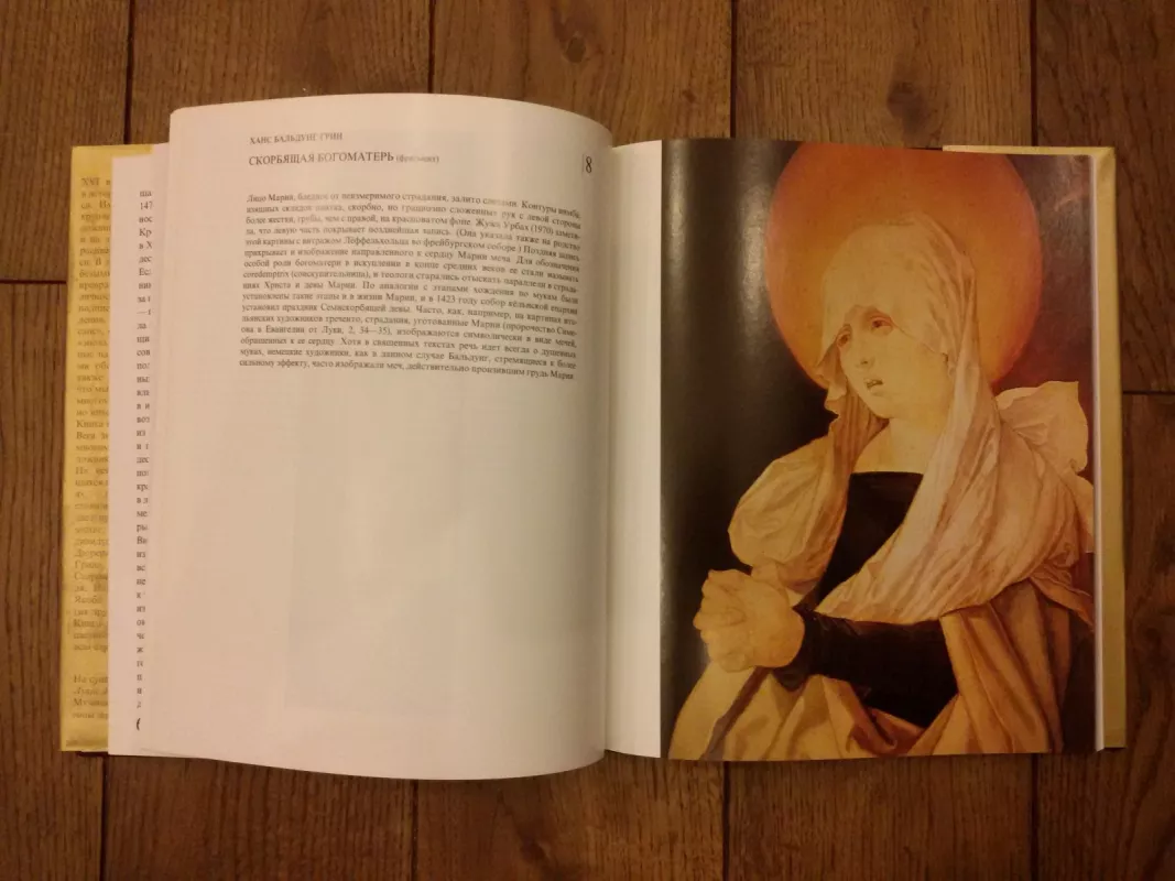 Немецкая станковая живопись XVI века - Янош Вег, knyga