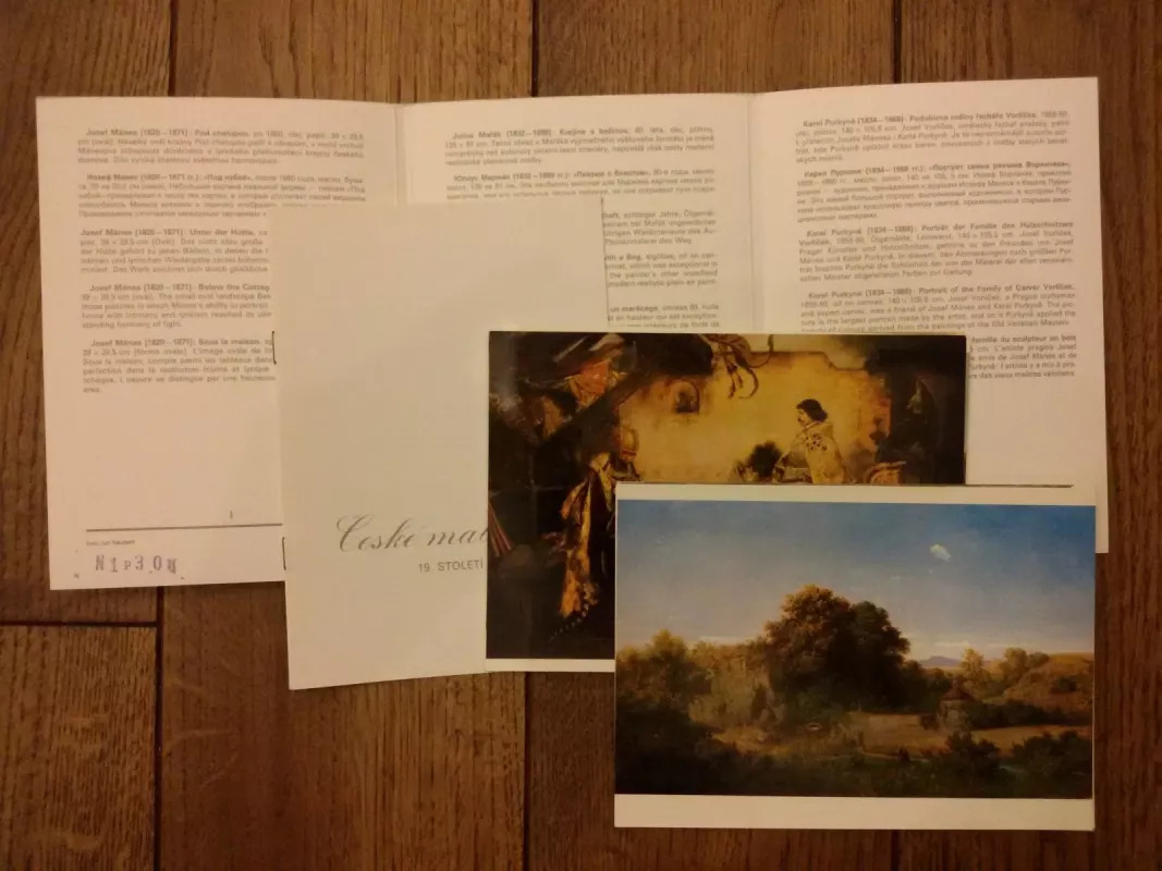 Česke malirstvi: 19. stoleti – II. - Autorių Kolektyvas, knyga 2