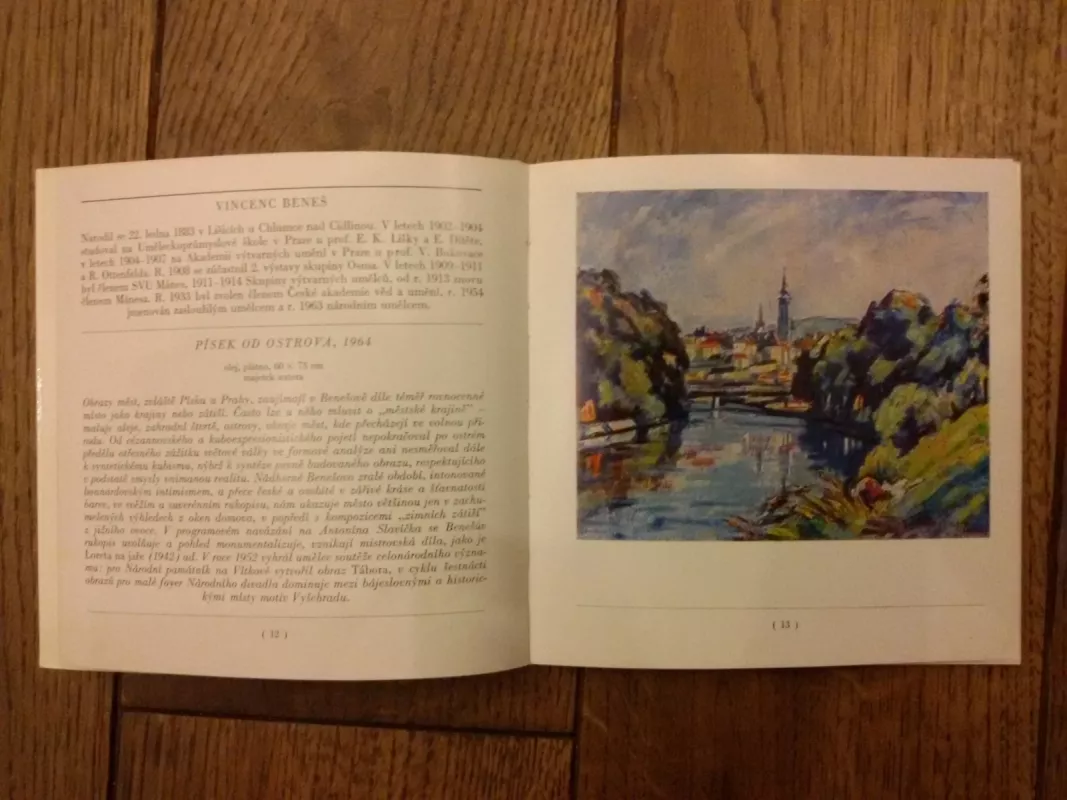 Obraz mesta v součastnem malirstvi - Vera Laudova, knyga 2