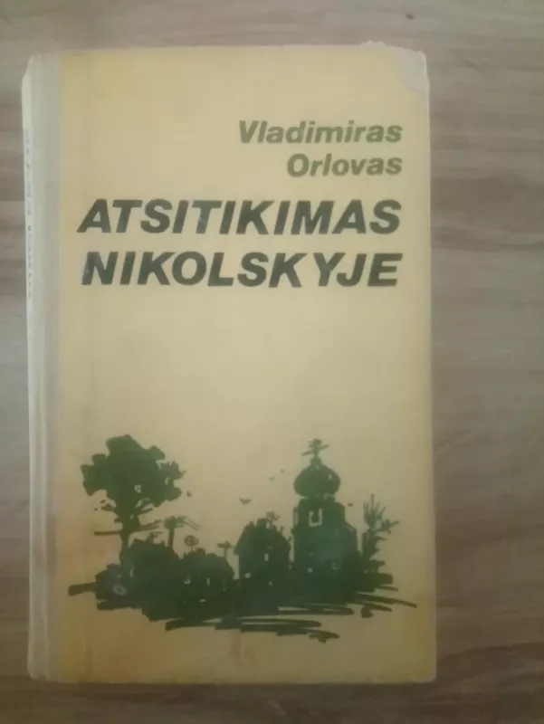 ATSITIKIMAS NIKOLSKYJE - Vladimiras Orlovas, knyga