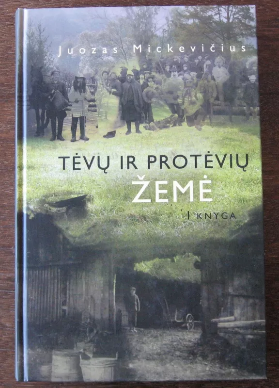 Tėvų ir protėvių žemė ( I knyga ) - Juozas Mickevičius, knyga 3