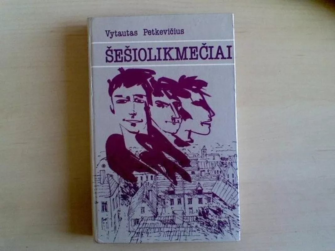 Šešiolikmečiai - Vytautas Petkevičius, knyga