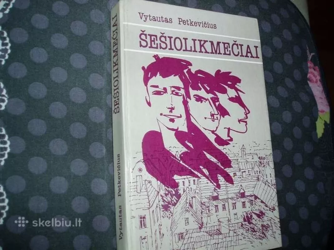 Šešiolikmečiai - Vytautas Petkevičius, knyga