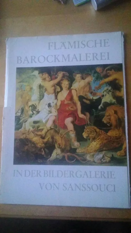 Flämische Barockmalerei in der Bildergalerie von Sanssouci - Autorių Kolektyvas, knyga