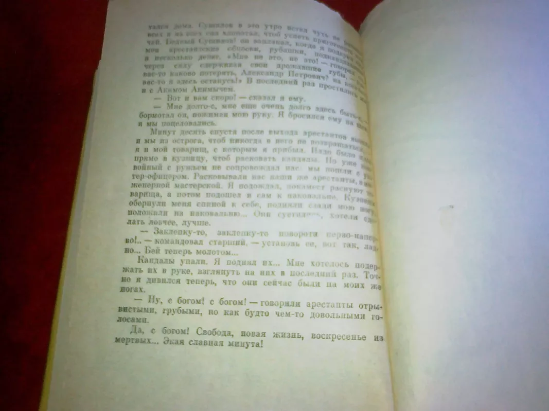 Записки из мертвого дома - Ф.М. Достоевский, knyga