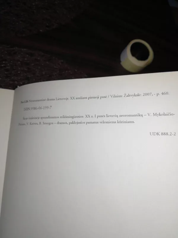 Neoromantinė drama Lietuvoje - Agnė Iešmantaitė, knyga 4
