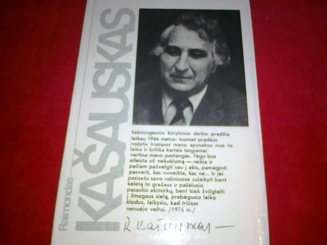 Suaugusiųjų žaidimai - Raimondas Kašauskas, knyga 3