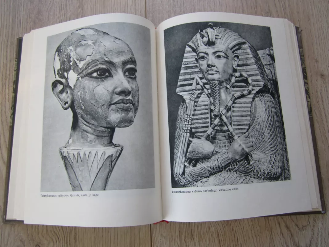 Faraonų laikais - Leonardas Kotrelas, knyga 5