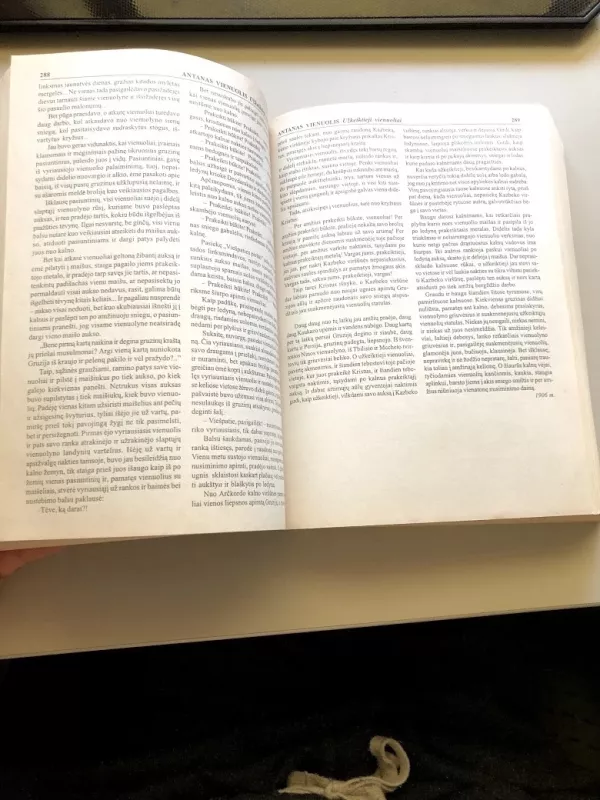 Lietuvių literatūros skaitiniai - Agnė Iešmantaitė, knyga 2