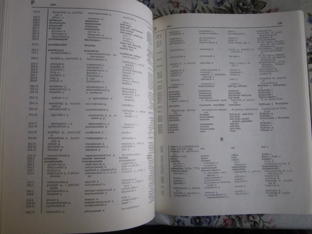 Fizikos terminų žodynas - P. Brazdžiūnas, knyga 5