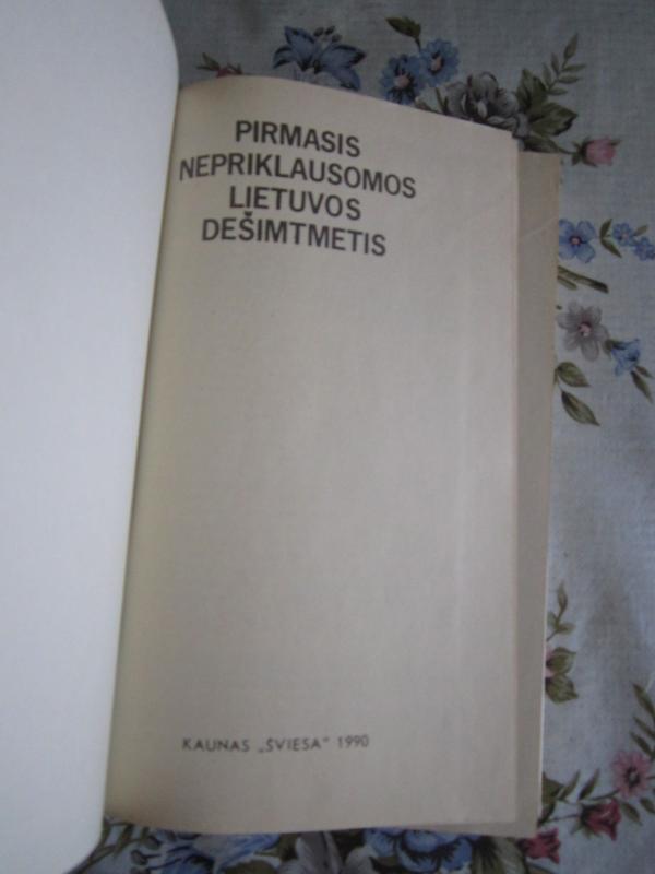 Pirmasis nepriklausomos Lietuvos dešimtmetis - Autorių Kolektyvas, knyga 3