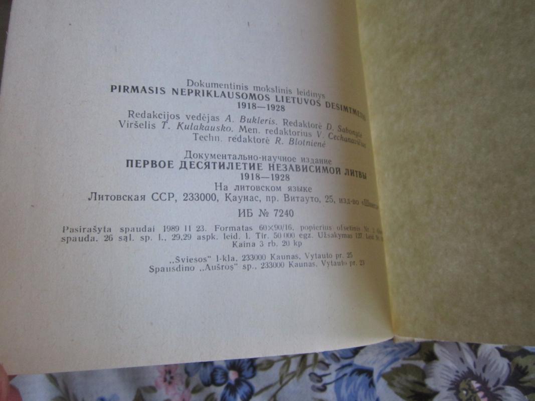 Pirmasis nepriklausomos Lietuvos dešimtmetis - Autorių Kolektyvas, knyga 6
