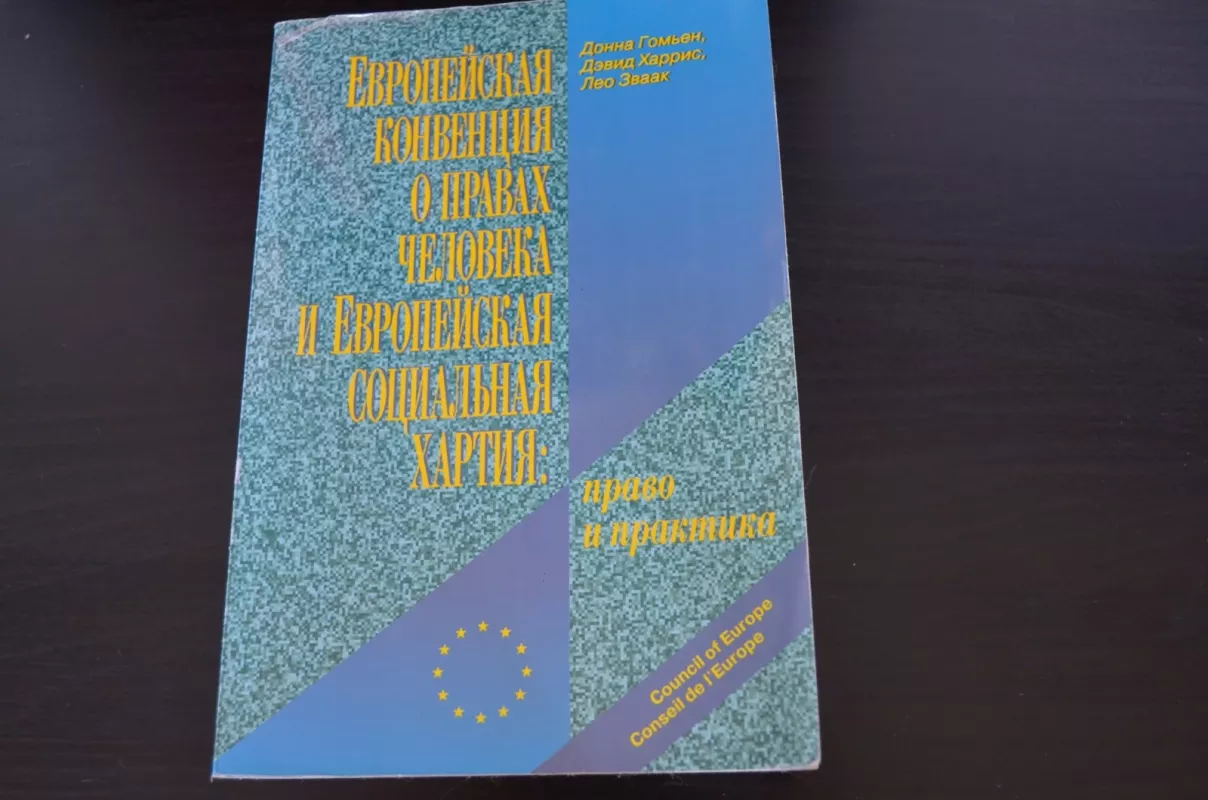 Европейская конвенция о правах человека и Европейская социальная хартия - Донна Гомен, knyga