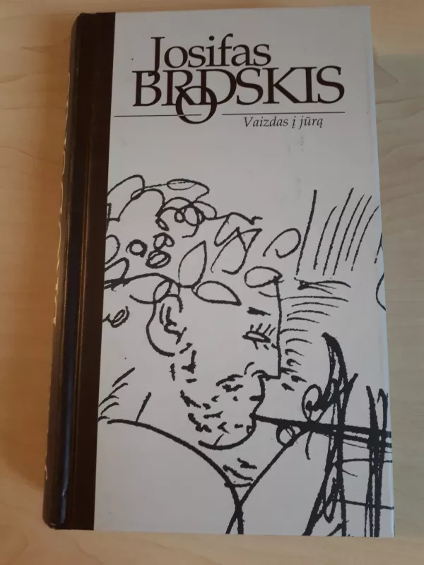 VAIZDAS Į JŪRĄ - Josifas Brodskis, knyga