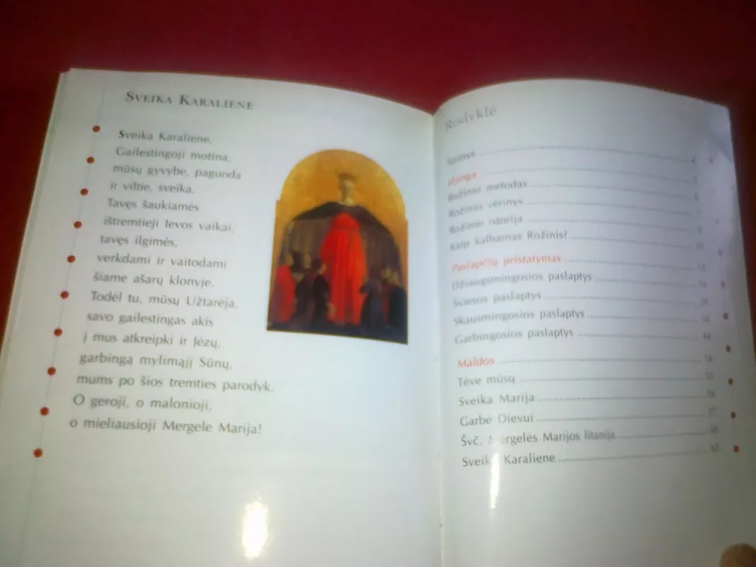 20 rožinio paslapčių pagal Joną Paulių II - Autorių Kolektyvas, knyga