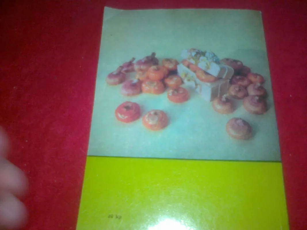 Kardeliai - P. Balčikonis, J.  Samsonaitė, J.  Tarvidas, knyga 2