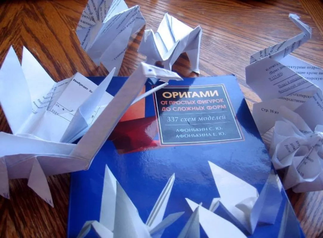 Оригами. От простых фигурок до сложных форм - Сергей и Елена Афонькины, knyga