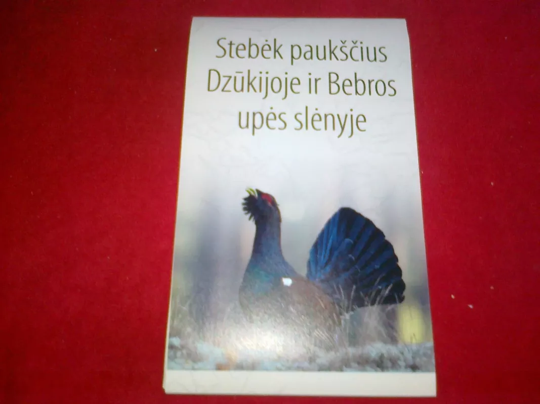 Stebėk paukščius Dzūkijoje ir Bebros upės slėnyje - Autorių Kolektyvas, knyga 6