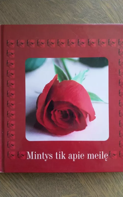 Mintys tik apie meilę - Gintarė Kneitaitė, knyga 2