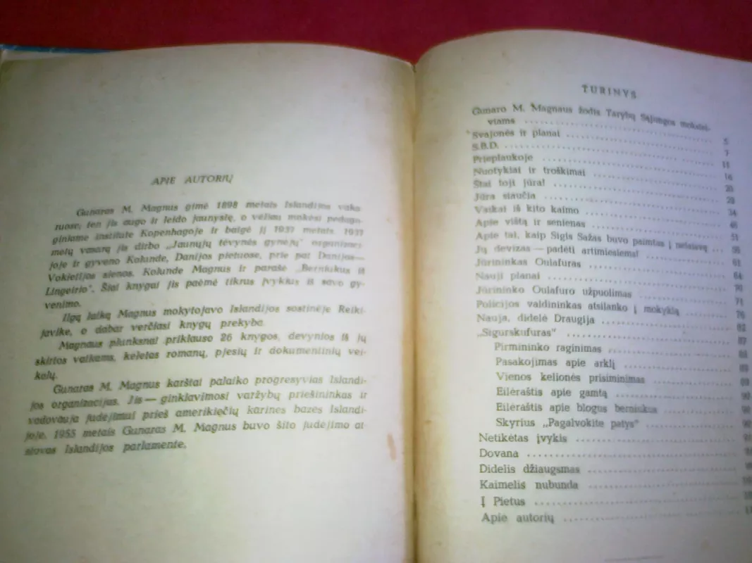 Berniukai iš Lingeirio - Gunaras M. Magnus, knyga