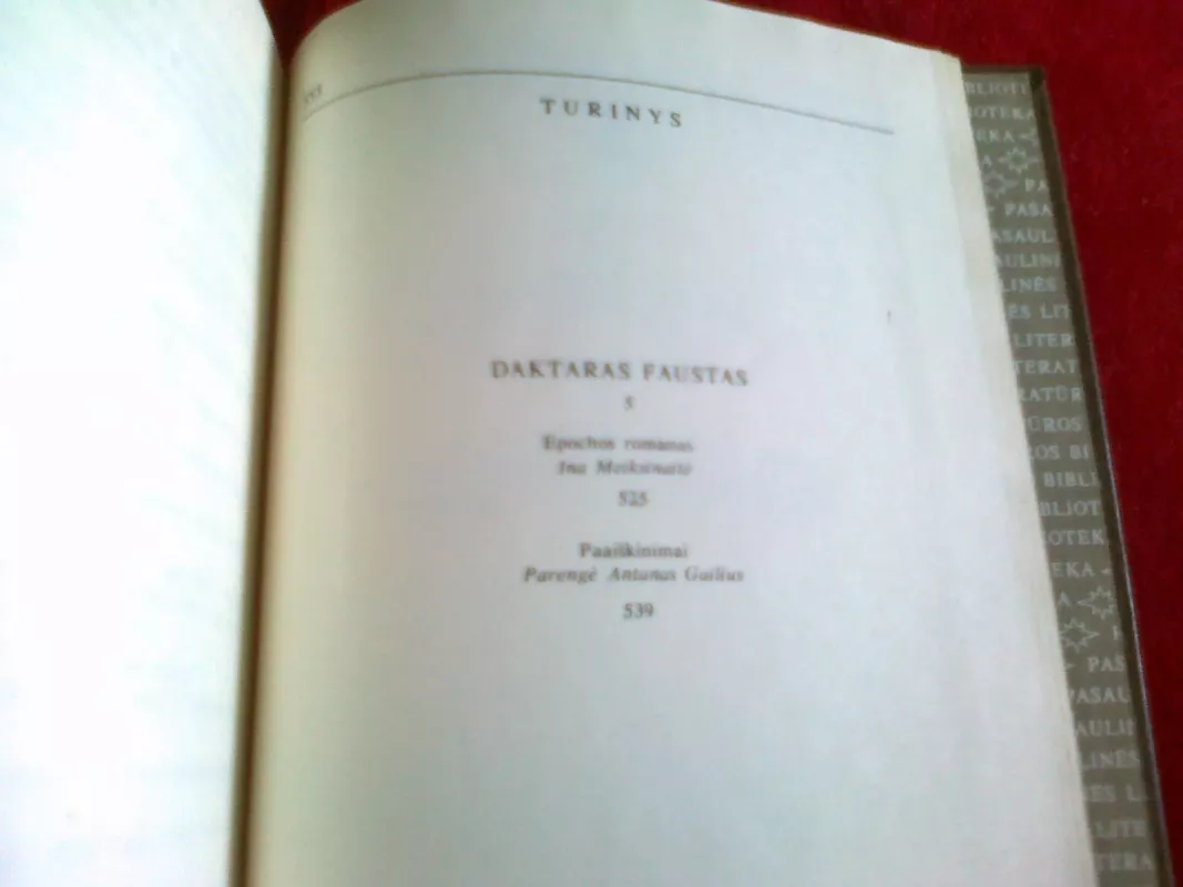 Daktaras Faustas - Thomas Mann, knyga 4