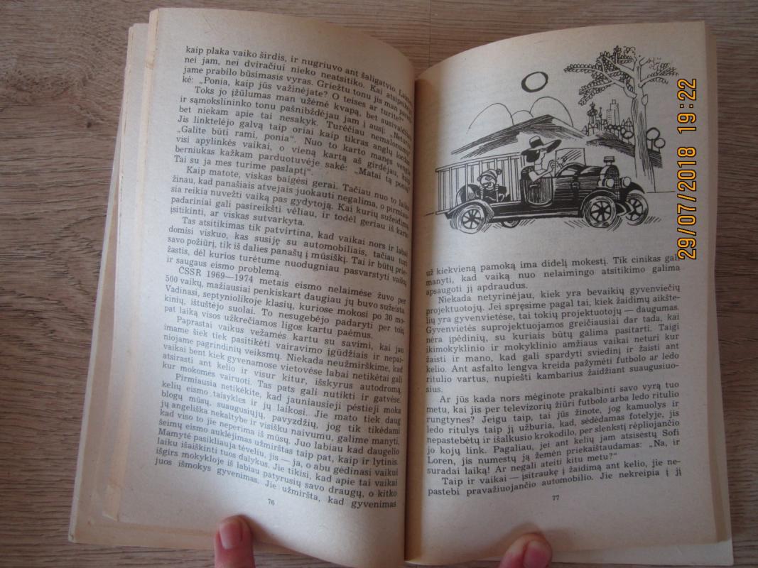 Moteris prie vairo - Silva Grošova, knyga 4