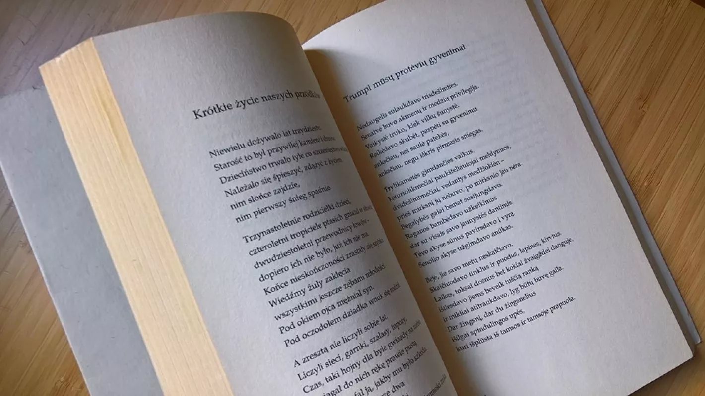 Poezijos rinktinė - Wislawa Szymborska, knyga