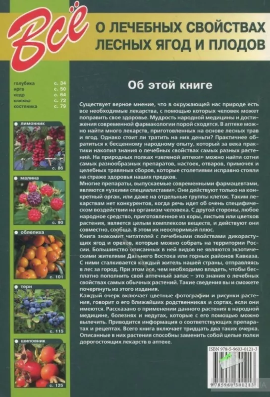 Все о лечебных свойствах лесных ягод и плодов - Сергей Афонькин, knyga 3