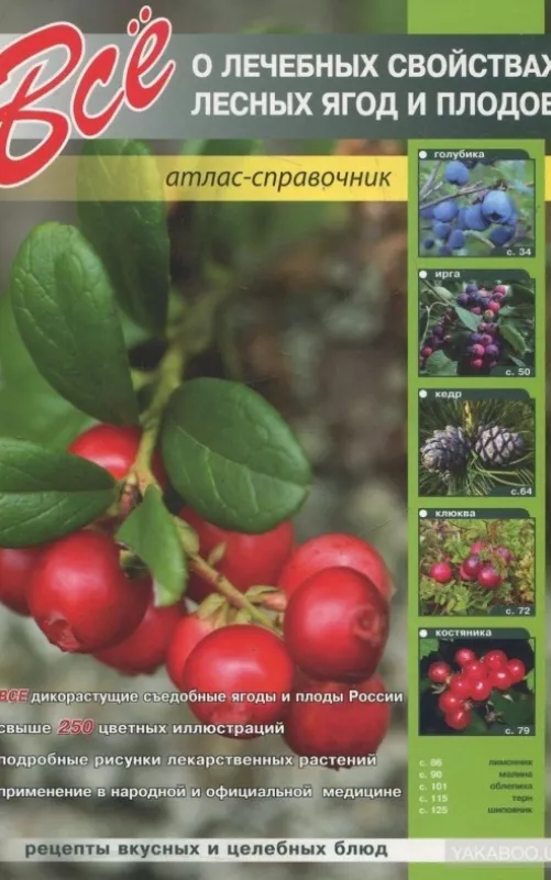 Все о лечебных свойствах лесных ягод и плодов - Сергей Афонькин, knyga