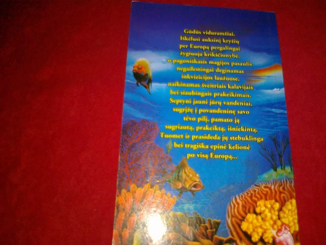 Jūrų valdovo vaikai - Poul Anderson, knyga