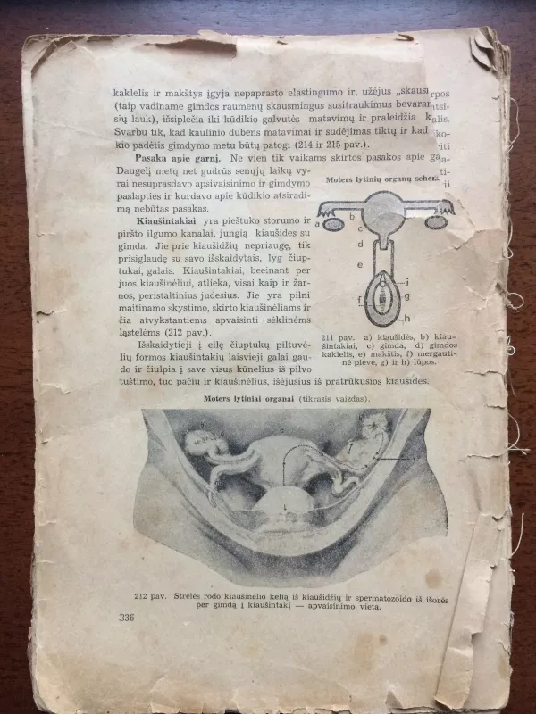 Anatomijos vadovėlis, pavadinimas nežinomas - Autorių Kolektyvas, knyga