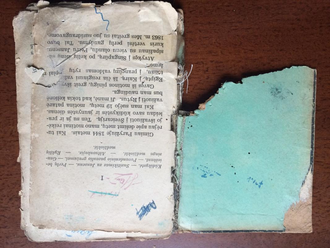 Naujasis Robinzonas - L. Ružemonas, knyga 3