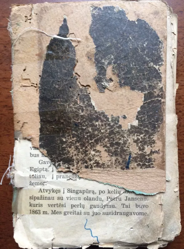 Naujasis Robinzonas - L. Ružemonas, knyga 2