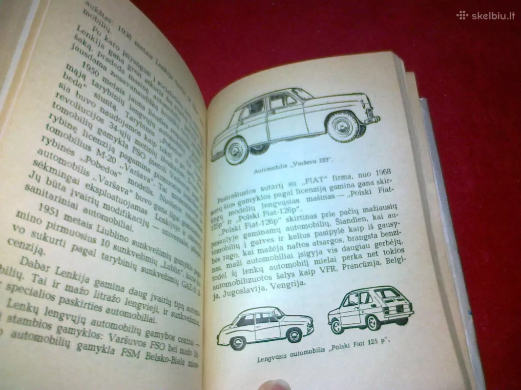 Šimtas automobilio mįslių - Gražvydas Paliulis, knyga