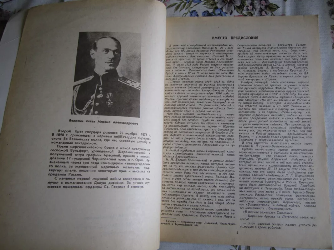 Dikaja divizija - N.N. Breško - Breškovskij, knyga 4