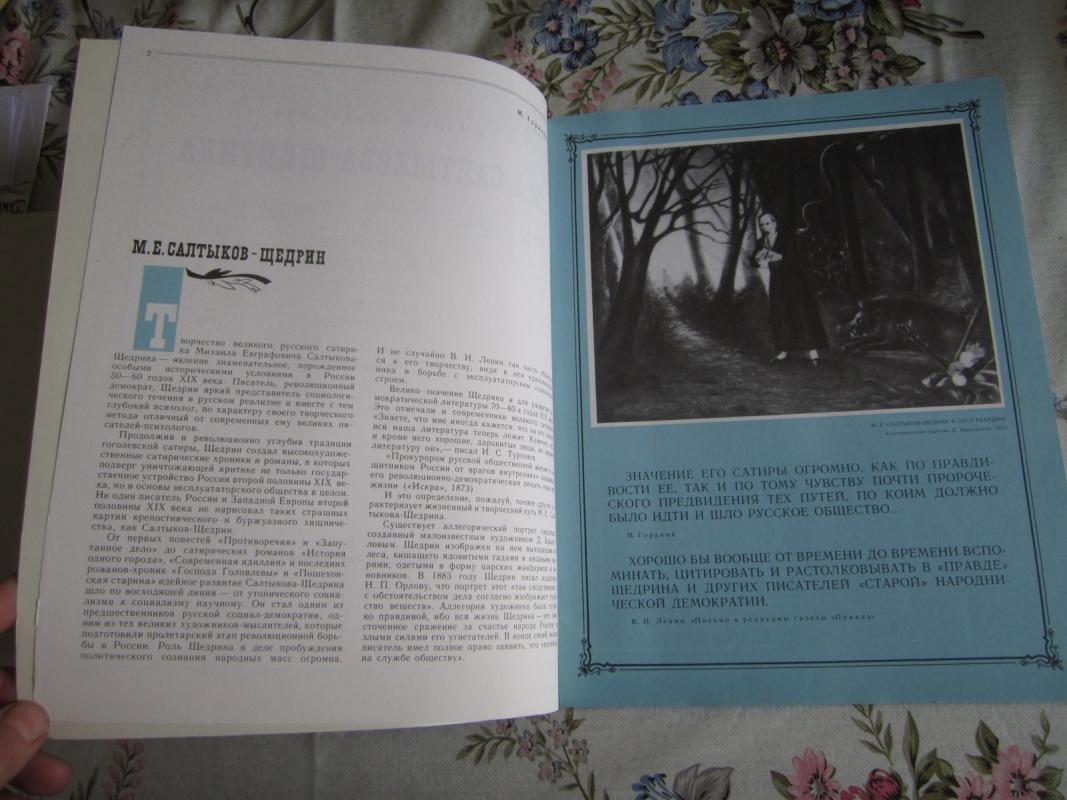 Žizn i tvorčestvo M. E. Saltykova – Ščadrina - Autorių Kolektyvas, knyga 4