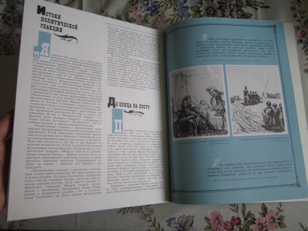 Žizn i tvorčestvo M. E. Saltykova – Ščadrina - Autorių Kolektyvas, knyga 5