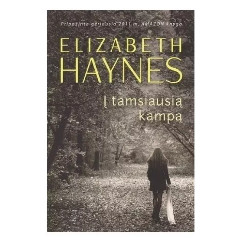 Į tamsiausią kampą - Elizabeth Haynes, knyga