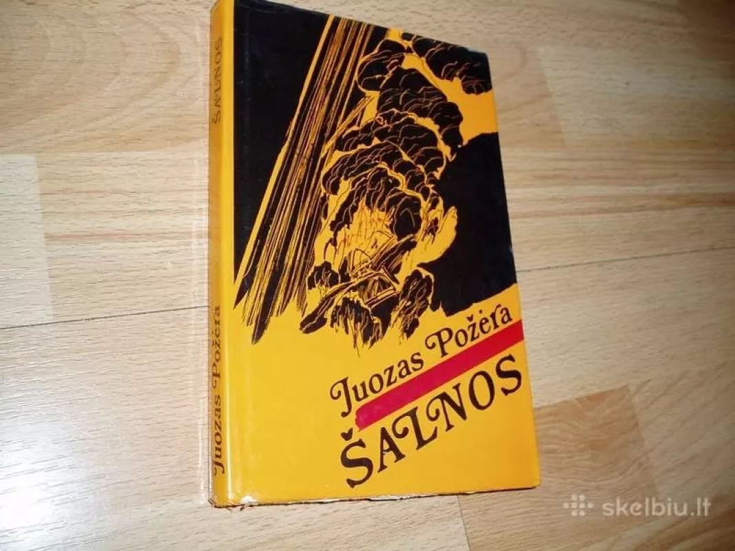 Šalnos (1980 ) - Juozas Požėra, knyga